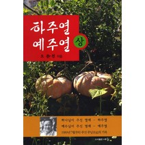 하주열 예주열(상):1989년 7월부터 주신 주님 일기의 기록, 세줄