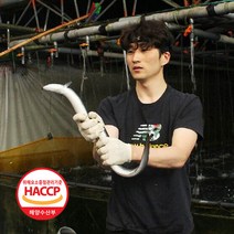 고창 풍천 손질 민물장어 1kg, 생장어1kg(2~3미/손질후730g내외)