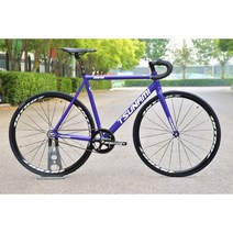 픽시 자전거 로드 바이크 트랙 TSUNAMI 레이싱, H