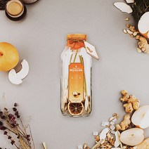 묘약 진저페어 담금주키트 1000-하루종일 너만 생강해, 1병, 1000ml