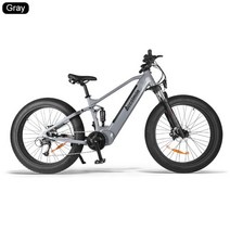 2020 새로운 전기 스노우 자전거 1000W 4.0 타이어 팻 비치 자전거 12.8AH 리튬 LG 셀 ebike 배터리 48V BBSHD 미드 드라이브 모터 키트, 회색 1 배터리, 중국