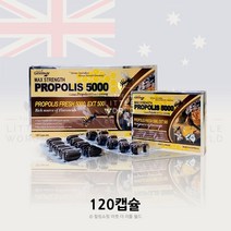 호주산 네이쳐스 그린웨이 고함량 그린 프로폴리스 5000mg 120캡슐벌집추출 플로폴리스 폴리폴리스, 120캡슐