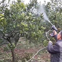 충전분무기 농약 세차 전동 충전식 분무기 살수기 워터건, 터보버전, 30미터