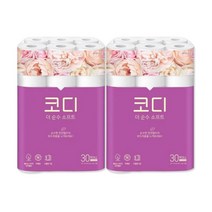 코디 더 순수 소프트 27m 30롤 x 2팩