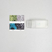 고등학교생물실험 세균관찰실험 프레파라트(세균4종), 단일