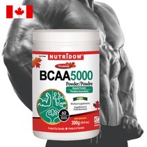 캐나다 뉴트리돔 BCAA 근육강화 단백질 보충제 300g 단백질파우더 N255