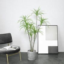 모던 인테리어 실내 장식식물 조화나무 드라세나 드라코 테라스 화분 인조 조경 5298900281, 7. 16M