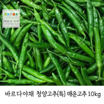 바르다야채 국내산 청양고추(특) 10kg-1박스(매운고추) (특)시세적용, 1개