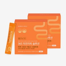 (1+1)퀸즈홀릭 365솔루션 차전자피 1box (6g x30포), 단품, 단품