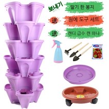베란다 테라스 정원 실내 식물 딸기 수직 화분 키우기, 퍼플 6개 물받이+일반 트레이+범용트레이