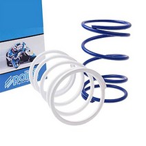 Polini 243.020 - P243020 - Torque Spring Set for the Honda Ruckus or Metropolitan 50cc scooter, 1