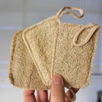 오이 열매 천연수세미 10+2 제로웨이스트 사각형 루파 친환경 수세미