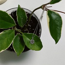 [안도제작/925silver] 은나무 목걸이