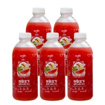 마이요기 생 수박 스무디 주스 즙 땡모반 태국 화채 에이드 음료 수 무설탕 100% 국내산 고창 씨없는 고당도 맛있는 꿀 과채 얼린 냉동 과일 NFC 착즙 쥬스 900ml 5병, 04.수박주스 310ml 10병