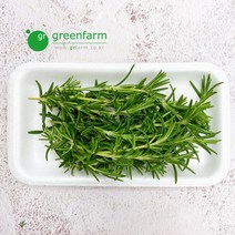 [Farm Naturre] 로즈마리 생잎, 1팩, 10g