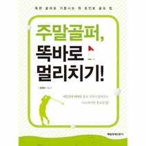 주말 골퍼 똑바로 멀리치기, 상품명