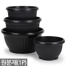 플라스틱 원분재 골분 화분 1P - 식물 플분 분배분 재배분 화단 조성 분갈이 인테리어 꾸미기 베란다 분 원형, 02_세인_원분재 블랙_2호(1P)