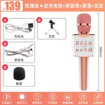 공연용무선마이크 블루투스노래방마이크, H충전선+녹음선+덮개+거치대 + .
