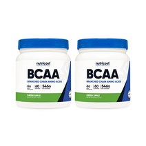 뉴트리코스트 BCAA 파우더 그린애플맛, 524g, 2개