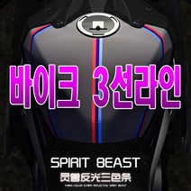 피트인 스피릿비스트 데칼 스티커 반사스티커 오토바이 BMW 데칼스티커, 1개, (선택4번)SBT 독일