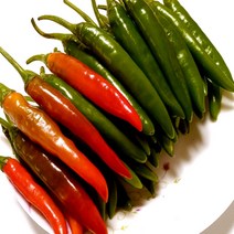 청양고추2kg, 10kg