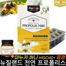 뉴질랜드 프로폴리스 유칼립투스 플라보노이드 60캡슐