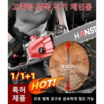 고출력 충전식 무선 전기톱 소형 미니 전기 체인톱 휴대용 체인톱, 12인치 1 가이드 1 체인*1+1+1, 3000/12인치