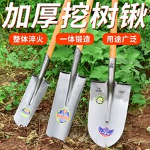 가래삽 삽자루 개불 낙지 긴삽 해루질 갯벌체험 눈, 넓은삽 + 1.2m나무 손잡이