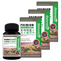 네추럴라이즈 프리미엄 보스웰리아 60정 3박스