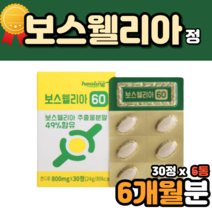 유향나무 보스웰리아 보수엘리아 추출물 성분 6개월 인도 보스웰릭산 보스웰리스 개별포장 엄마 할머니 boswellia 보스웰리아성분 홈쇼핑 코스트코