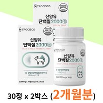네델란드산 산양유 아미노액티브 BCAA 단백질 2박스 고트밀크 프로틴 간편한 정 BACC WPI 미셀라카제인 밀크세라마이드 MBP 농축 운동 헬스 보충제 남성 여성