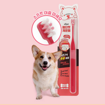 애견 구강관리 셀프치석제거 강아지칫솔 치석관리, 상세페이지 참조