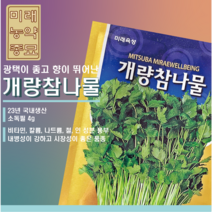 23년산 개량참나물 씨앗 4g- 향이좋은 참나물 노지재배와 하우스재배 가능