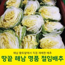 해남 절임배추 20kg 국내산 직접재배 절인배추 대표김장배추 예약발송, 11월 23일(수)출발 24일(목)도착