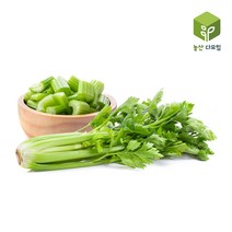 샐러리 10kg 셀러리, 단품