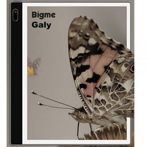 e북리더기 리더기 이북리더기 전자책 전자 10.3 인치, inkNoteC 6 128GB 103