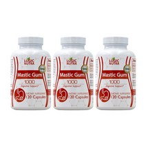 Logic Nutra 로직 누트라 매스틱 검 1000mg 120정, 3병