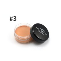 Liquid Face Foundation Base Concealer Cream Cover Blemish Hide Dark Spot Eye Lip Contour Makeup Cosm, 한개옵션1, 03 FC-03