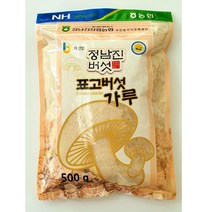 정남진장흥농협 원목 표고버섯가루 실속형 500g, 1개