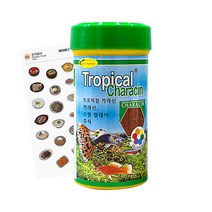 트로피칼 카라신 100g 물고기 밥 열대어 사료 작은 먹이 아쿠아 펫 발색력 수질 개선 고단백 영양 관상어, 트로피칼 카라신 100g(사은품증정)