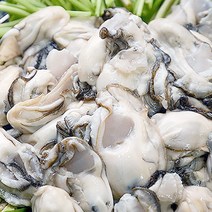 22년 산지 통영굴구이 바다장어멍게 당일작업, 1box, 생굴1kg