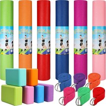 18피스 요가 스타터 키트 매트 벌크 68 x 24 0.4cm(68 0.16인치) 스트랩 6개 및 폼 블록 미끄럼 방지 운동 필라테스 체육관 운동용 6가지 색상
