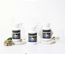 펫캐스터 노령견 노견 영양제 노화방지 헬스케어 몸냄새제거 독소제거 건강관리 30T