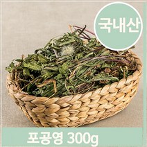 푸들 말린 민들레 300g 포공영 약재 건조 나물 된장국 요리 (7563997), 기본
