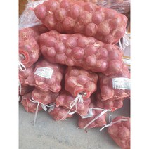 국내산 적양파 자색양파 햇양파 빨간 적색 대용량, 1kg