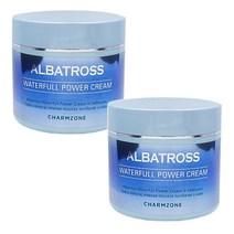 2개) 참존 알바트로스 워터풀 파워 크림 100ml 대용량 수분크림