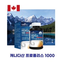 캐나다프로폴리스 6개월분 효능 효과 프로폴리스 분말 가루
