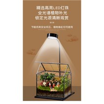 코쿤 테라리움 완제품 DIY 가드닝 비바리움 이끼 반려 식물, 기본 비바리움 A(완제품)   식물등