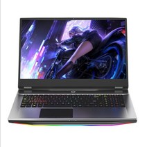 Intel i5-9400F GTX1050Ti 32G 64G 1TB 17.3inch 게임용 노트북 데스크탑 성능 지원 Intel 6789 세대 프로세서 컴퓨터, 유럽 ​​연합, 인텔 i5-9400F, i5-9400F 32G-1TB