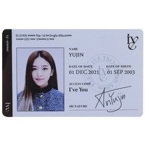 블랙핑크포카 1 개/대 KPOP IVE ID 카드 Lomo 앨범 LIZ 걸스 그룹 일레븐 팬 컬렉션 선물 엽서 사진, [06] OSS26122KP6
